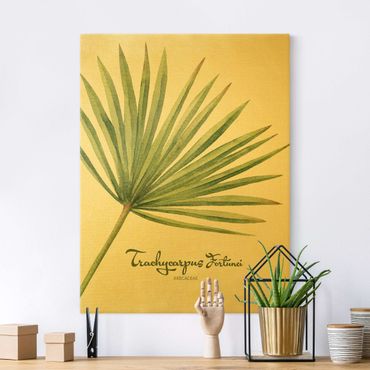 Quadro su tela oro - Botanica in acquerello Trachycarpus fortunei