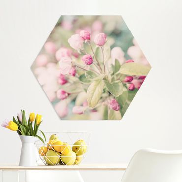 Esagono in forex - Apple Blossom rosa bokeh