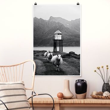 Poster - Tre pecore sulle Isole Lofoten