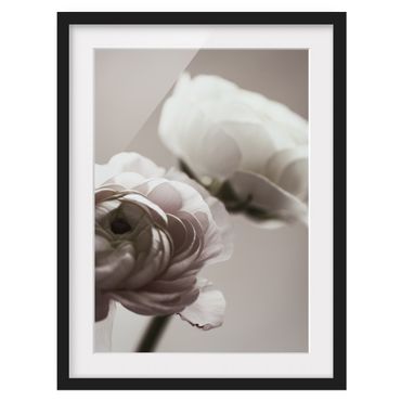 Poster con cornice - Focus su fioritura scura