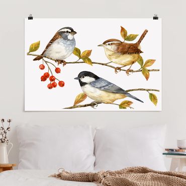 Poster - Uccelli e Bacche - Tette - Orizzontale 2:3