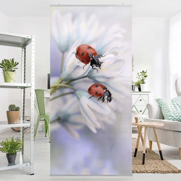 Tenda a pannello - Ladybird Couple - 250x120cm