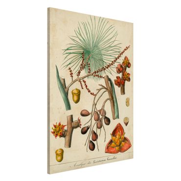 Lavagna magnetica - Consiglio Vintage Exotic Palms III - Formato verticale 2:3