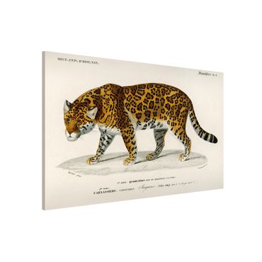 Lavagna magnetica - Consiglio Jaguar d'epoca - Formato orizzontale 3:2