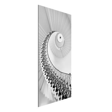 Stampa su alluminio - Tromba delle scale floreale che porta alla luce