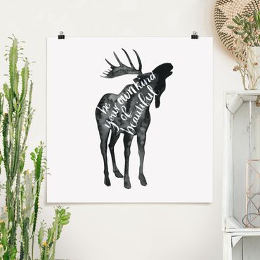 Poster - Animali con la Sapienza - Elk - Quadrato 1:1