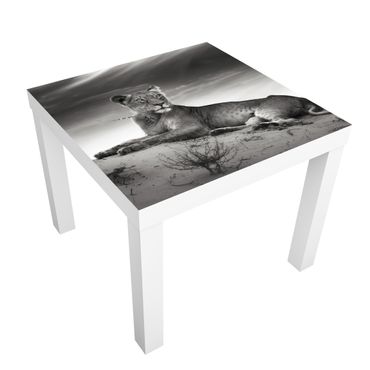 Carta adesiva per mobili IKEA - Lack Tavolino Resting Lion