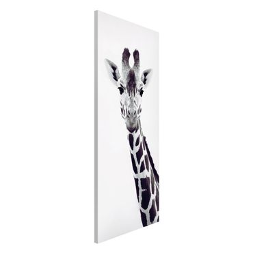 Lavagna magnetica - Ritratto di giraffa in bianco e nero