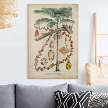 Stampa su tela - Consiglio Vintage Exotic Palms II - Verticale 3:2