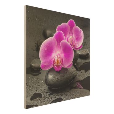 Stampa su legno - Pink Orchid Fiori Sulle Pietre Con Le Gocce - Quadrato 1:1