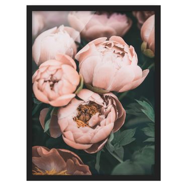 Poster con cornice - Un bouquet di peonie