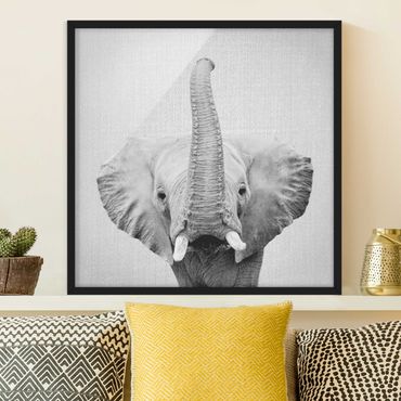 Poster con cornice - Elefante Ewald in bianco e nero
