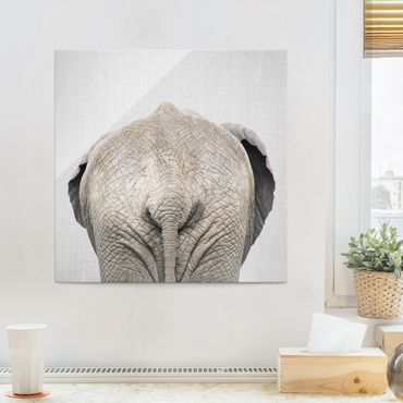 Quadro in vetro - Elefante da dietro