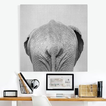 Stampa su tela - Elefante da dietro Bianco Nero - Quadrato 1:1