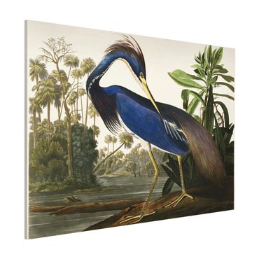 Lavagna magnetica - bordo Vintage Louisiana Heron - Formato orizzontale 3:4
