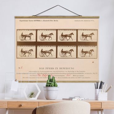 Foto su tessuto da parete con bastone - Eadweard Muybridge - Il Cavallo In Motion - Orizzontale 3:4