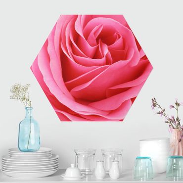 Esagono in Alluminio Dibond - Lustful Pink Rose