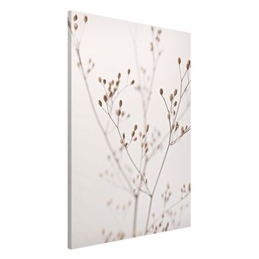 Lavagna magnetica - Delicate gemme su ramo di fiori selvatici