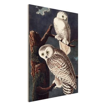 Lavagna magnetica - Vintage Consiglio Snow Owl - Formato verticale 2:3