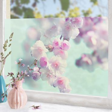 Decorazione per finestre - Fiori di ciliegio colorati