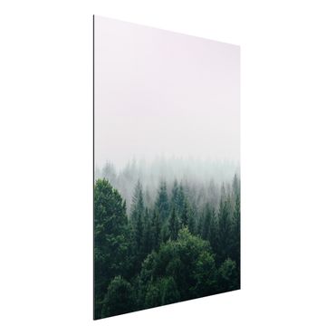 Stampa su alluminio - Foresta nella nebbia del crepuscolo