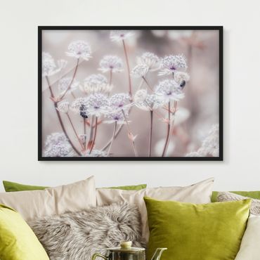 Poster con cornice - Leggeri fiori selvatici