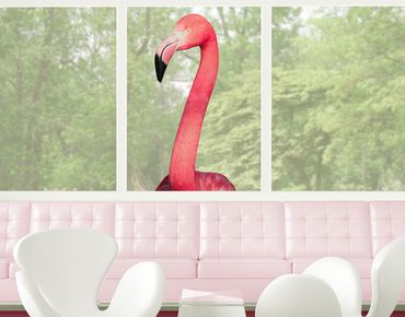 Adesivi da finestra no.YK22 Prying Flamingo