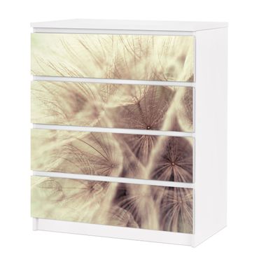 Carta adesiva per mobili IKEA - Malm Cassettiera 4xCassetti - Detailed dandelions macro shot with vintage blur effect