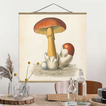 Foto su tessuto da parete con bastone - Funghi francesi - Quadrato 1:1