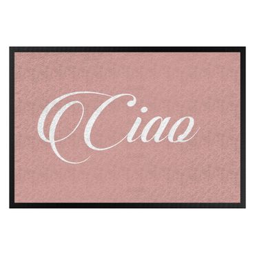 Zerbino - CIAO italics