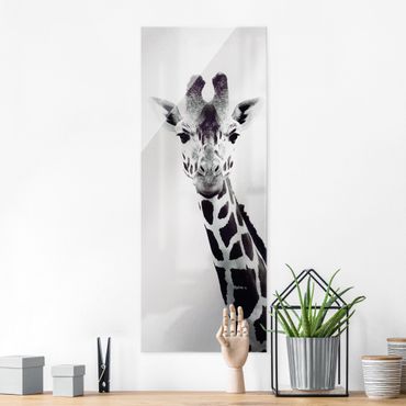 Quadro in vetro - Ritratto di giraffa in bianco e nero