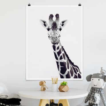 Poster - Ritratto di giraffa in bianco e nero