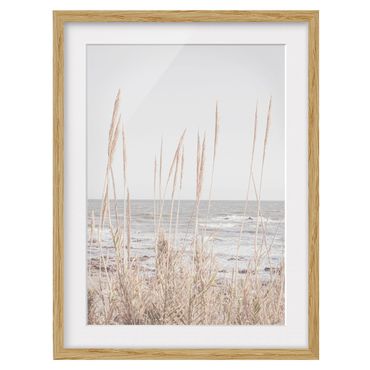 Poster con cornice - Grasses by the sea