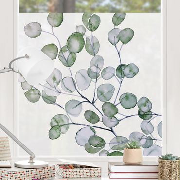 Decorazione per finestre - Ramo di eucalipto in acquerello verde