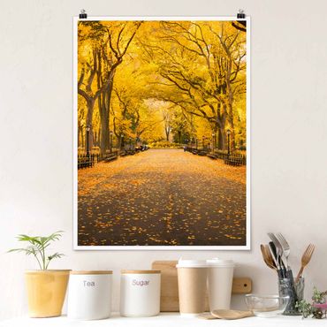 Poster - Autunno in Central Park
