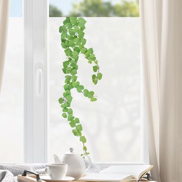 Decorazione per finestre - Viticcio con foglie a forma di cuore