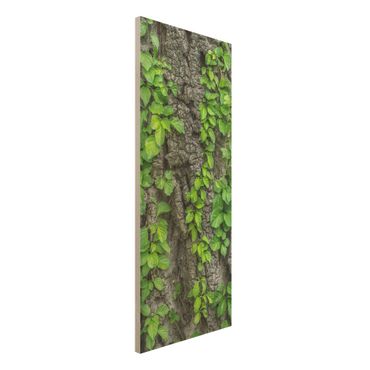 Quadro in legno - Ivy tree bark - Pannello