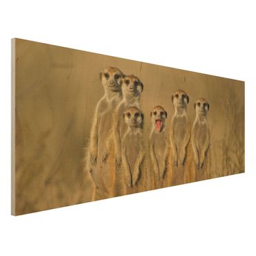 Quadro in legno - Meerkat Family - Panoramico