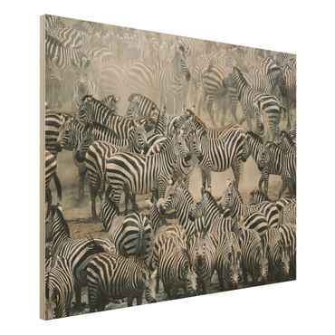 Quadro in legno - Zebra herd - Orizzontale 4:3