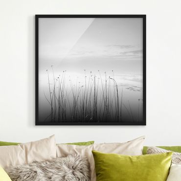 Poster con cornice - Idillio al lago in bianco e nero