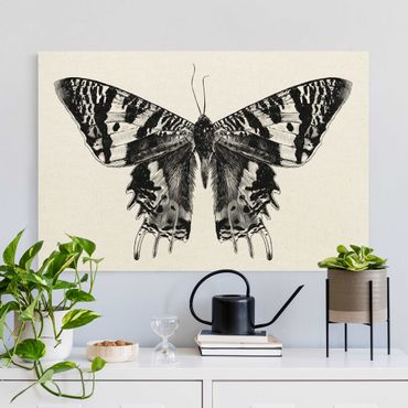 Quadro su tela naturale - Illustrazione di farfalla del Madagascar che vola - Formato orizzontale 3:2