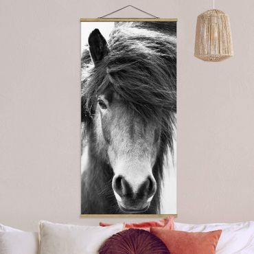Foto su tessuto da parete con bastone - Cavallo d'Islanda in bianco e nero - Verticale 1:2
