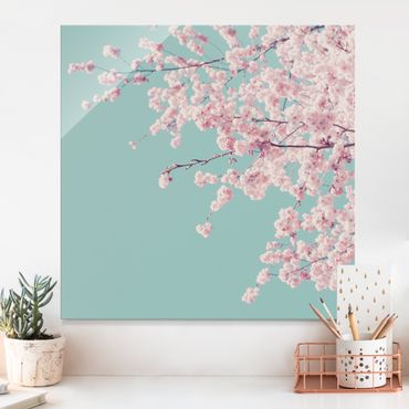 Quadro in vetro - Fiore di ciliegio giapponese