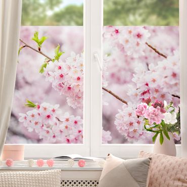 Decorazione per finestre - Fioriture di ciliegio giapponesi