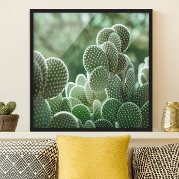 Poster con cornice - Cactus