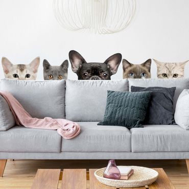 Adesivo murale - Gatti con sguardo per cani
