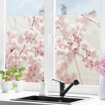 Decorazione per finestre - Danza di fiori di ciliegio