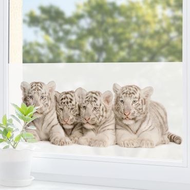 Decorazione per finestre Bengal Tiger Babies