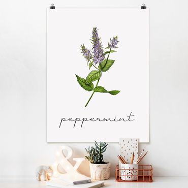 Poster - Illustrazione di erbe aromatiche menta piperita
