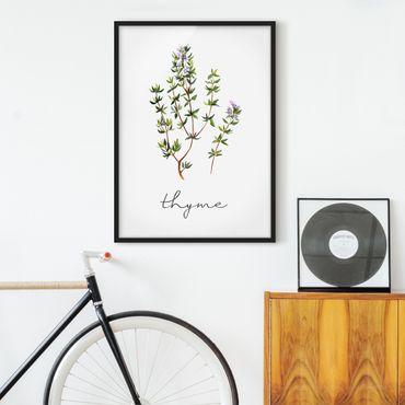 Poster con cornice - Illustrazione di erbe aromatiche timo